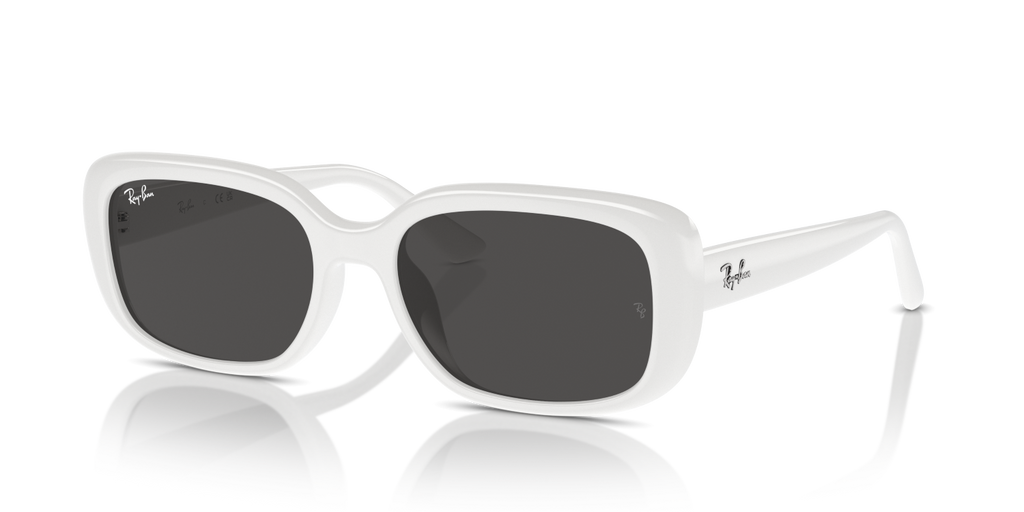 Ray-Ban RB4421D - White / White