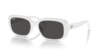 Ray-Ban RB4421D - White / White