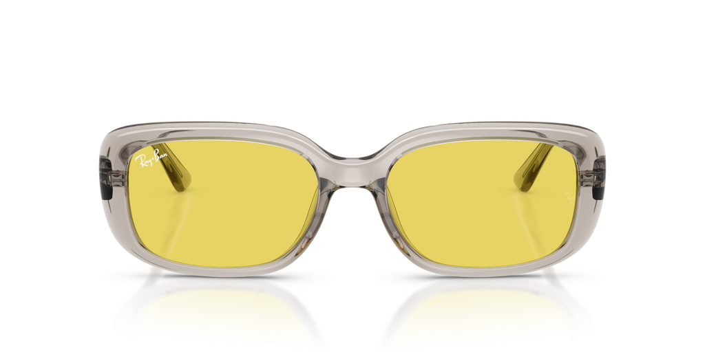 Ray-Ban RB4421D - Transparent Light Beige / Brown