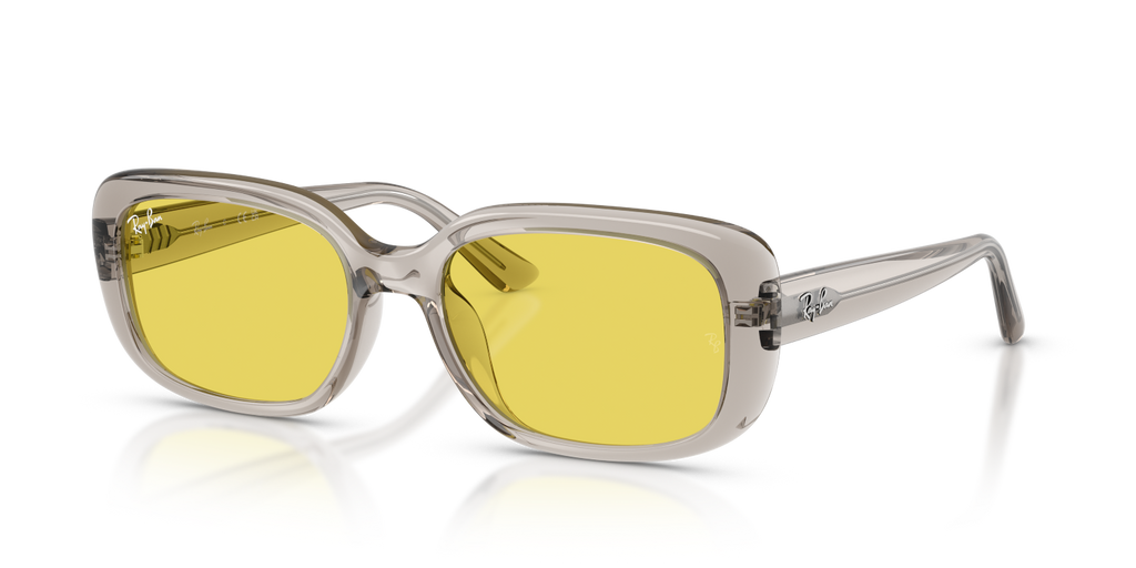 Ray-Ban RB4421D - Transparent Light Beige / Brown