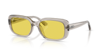 Ray-Ban RB4421D - Transparent Light Beige / Brown
