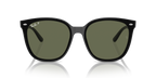 Ray-Ban RB4423D - Black / Black