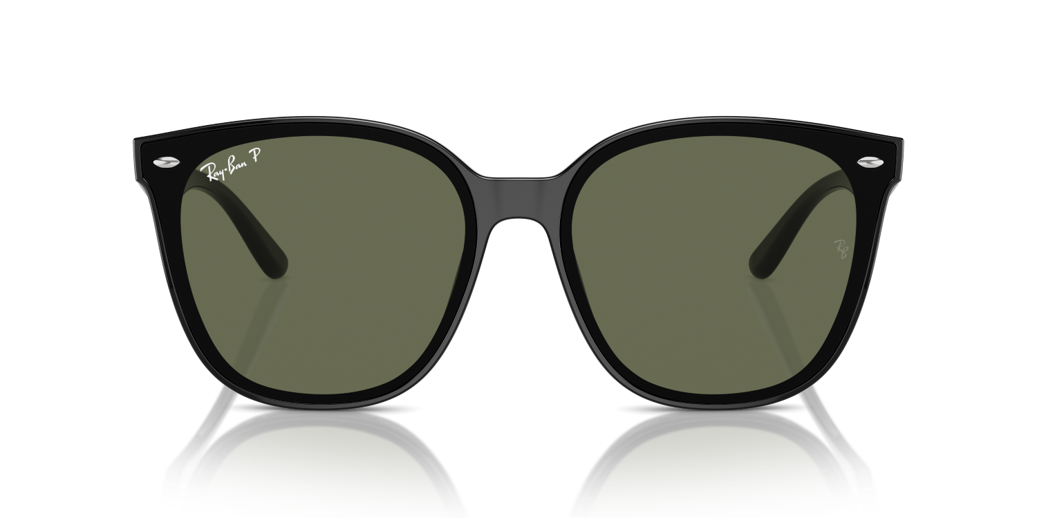 Ray-Ban RB4423D - Black / Black
