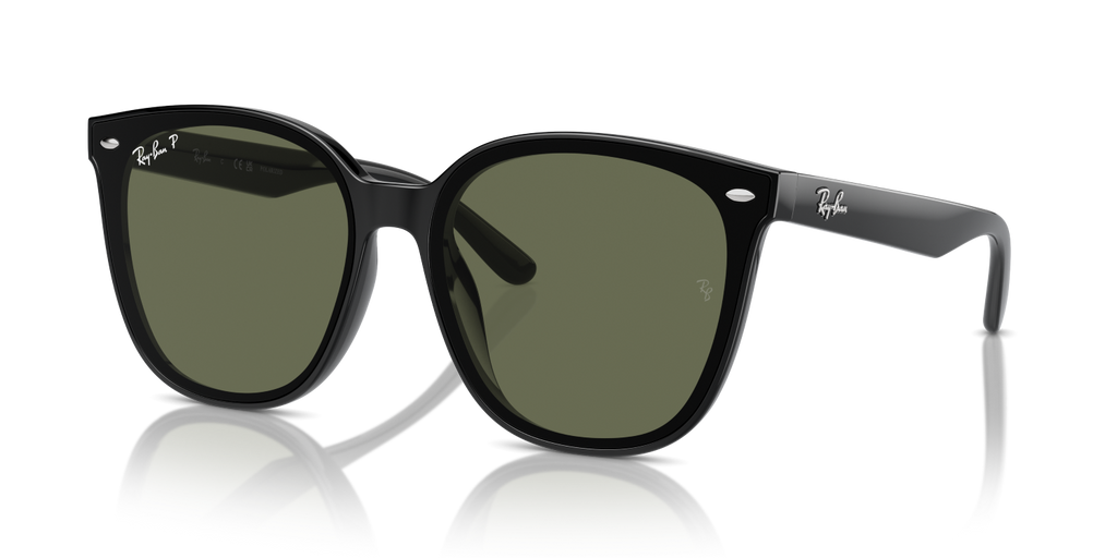 Ray-Ban RB4423D - Black / Black