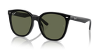 Ray-Ban RB4423D - Black / Black