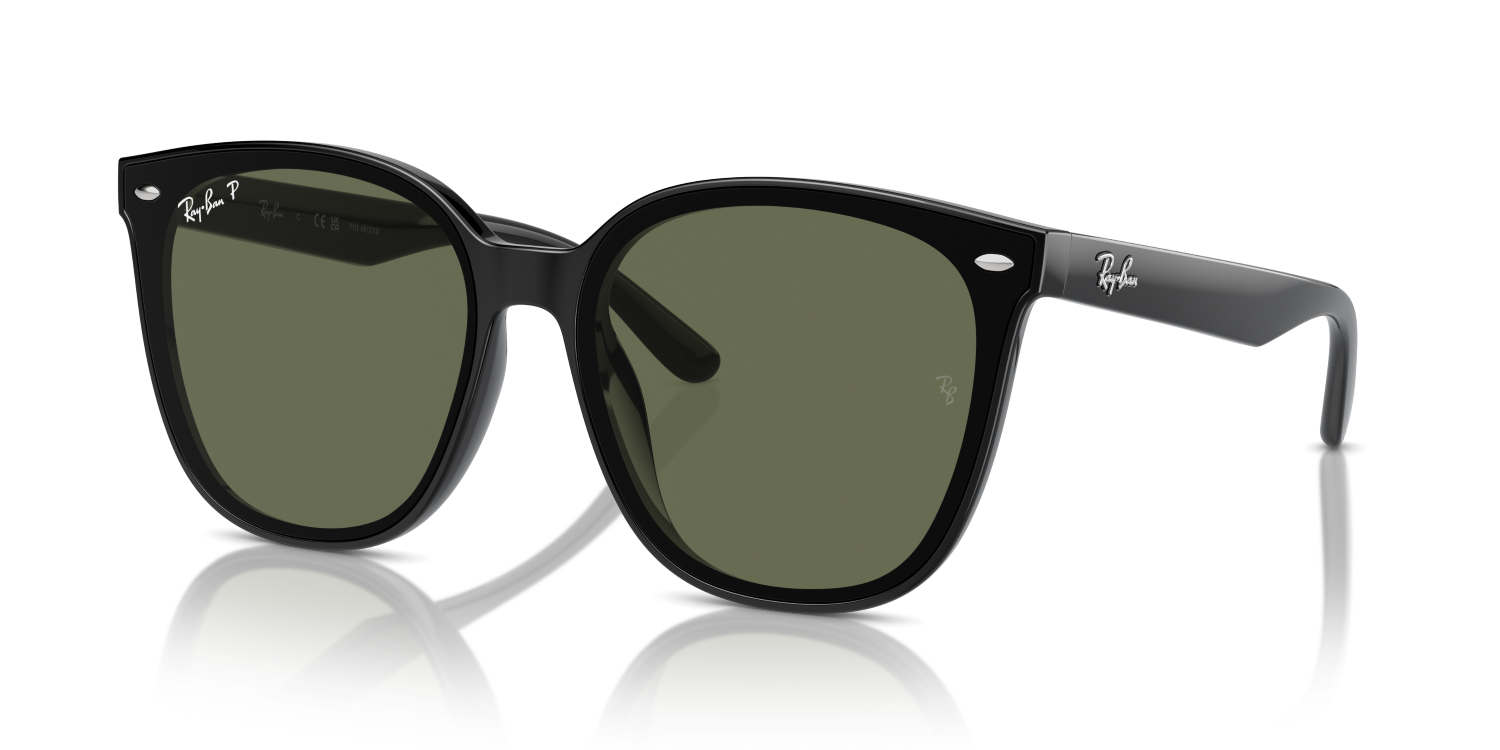 Ray-Ban RB4423D - Black / Black