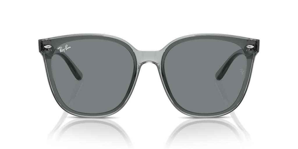 Ray-Ban RB4423D - Transparent Grey / Grey