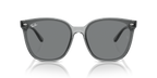 Ray-Ban RB4423D - Transparent Grey / Grey