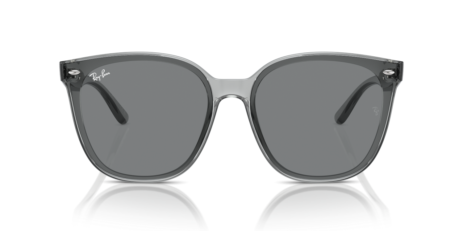 Ray-Ban RB4423D - Transparent Grey / Grey