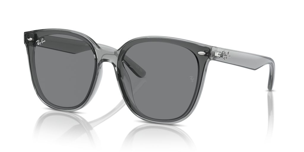 Ray-Ban RB4423D - Transparent Grey / Grey