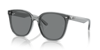 Ray-Ban RB4423D - Transparent Grey / Grey