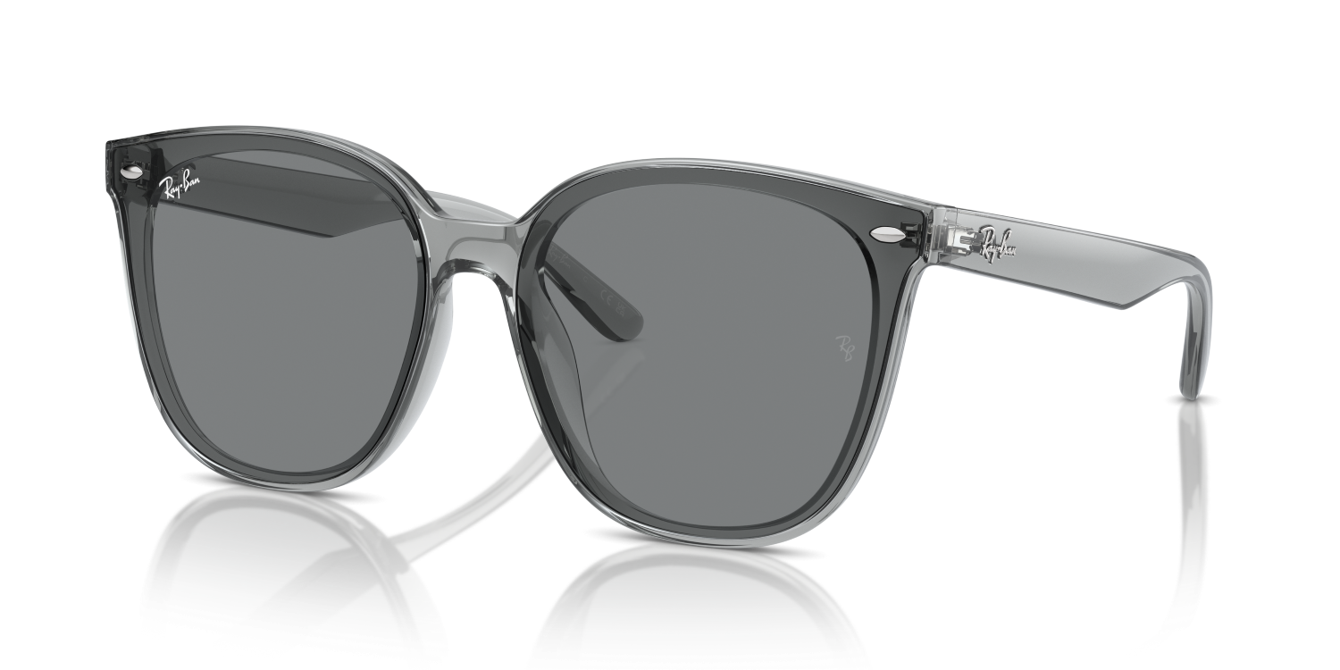 Ray-Ban RB4423D - Transparent Grey / Grey