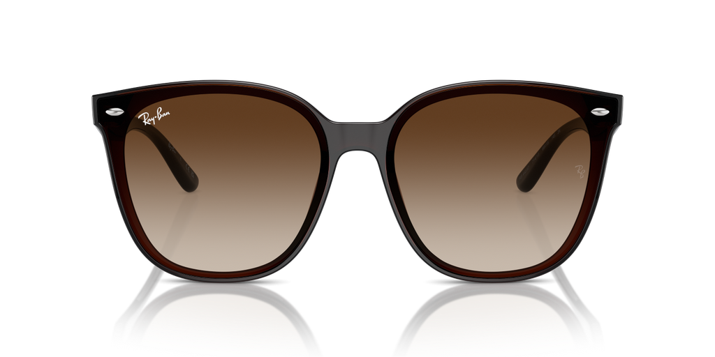 Ray-Ban RB4423D - Transparent Brown / Brown
