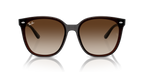 Ray-Ban RB4423D - Transparent Brown / Brown