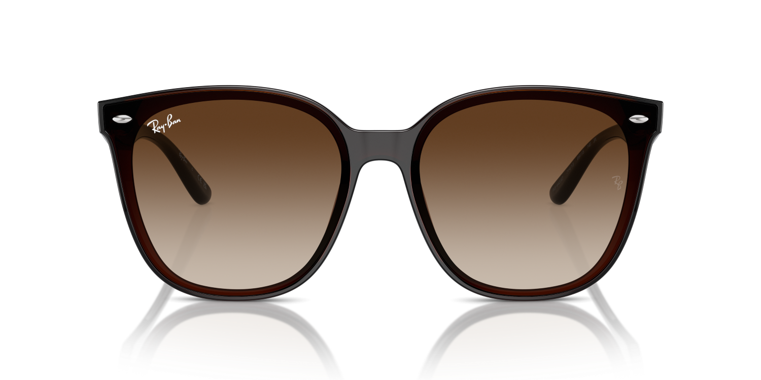 Ray-Ban RB4423D - Transparent Brown / Brown