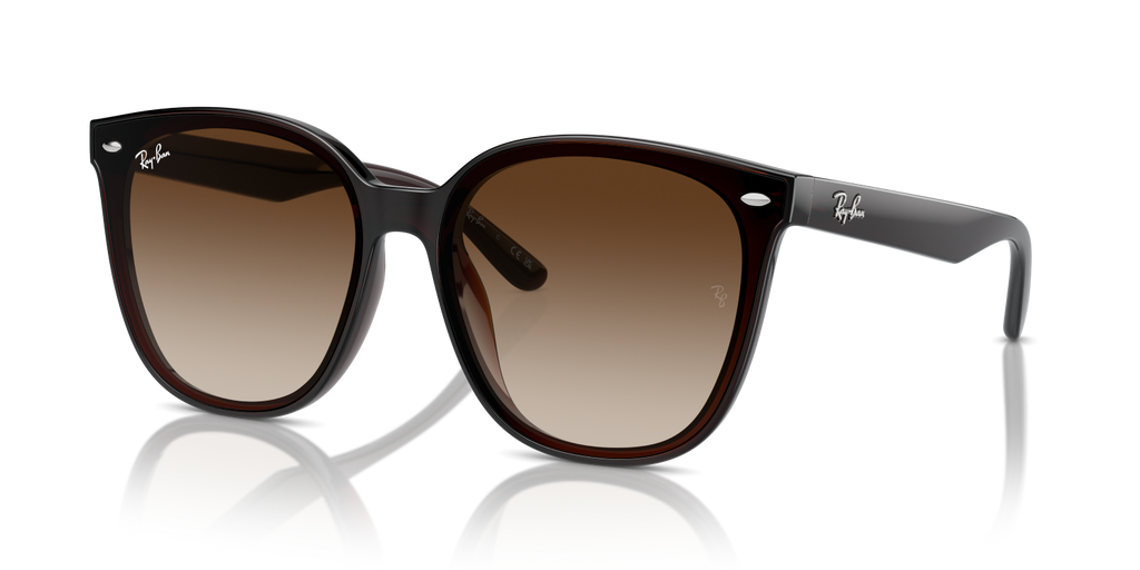 Ray-Ban RB4423D - Transparent Brown / Brown