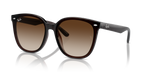 Ray-Ban RB4423D - Transparent Brown / Brown