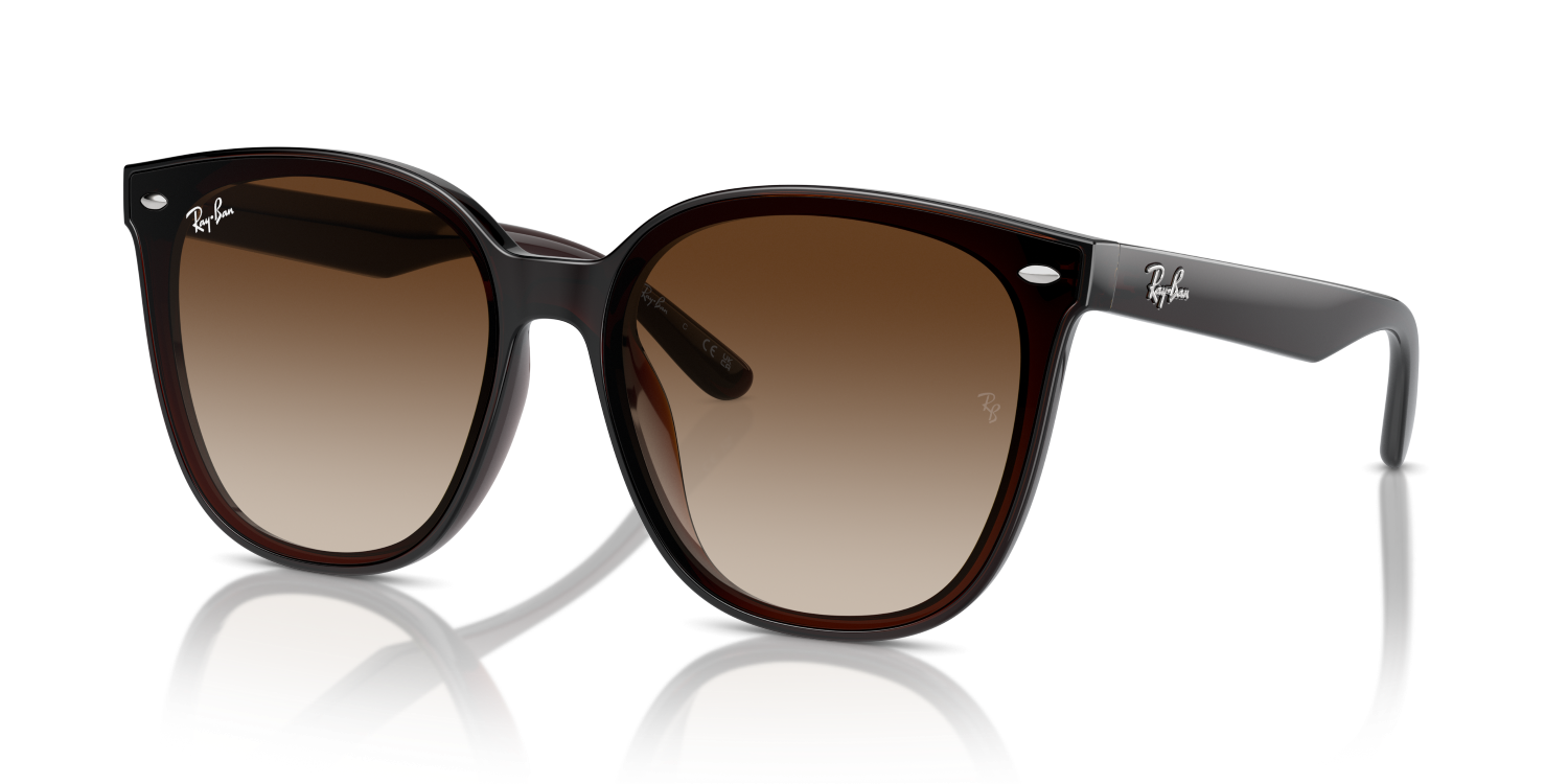 Ray-Ban RB4423D - Transparent Brown / Brown