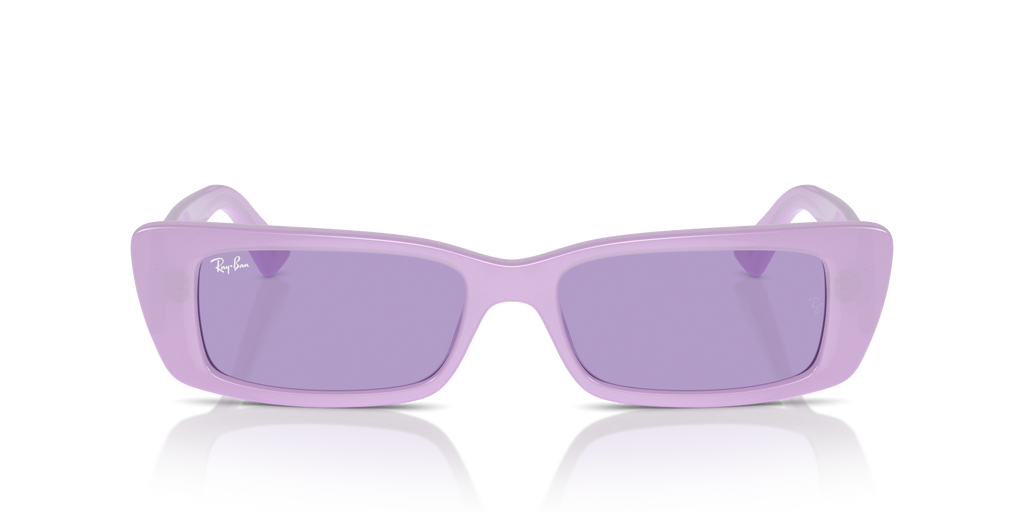 Ray-Ban TERU RB4425 - Lilac / Violet
