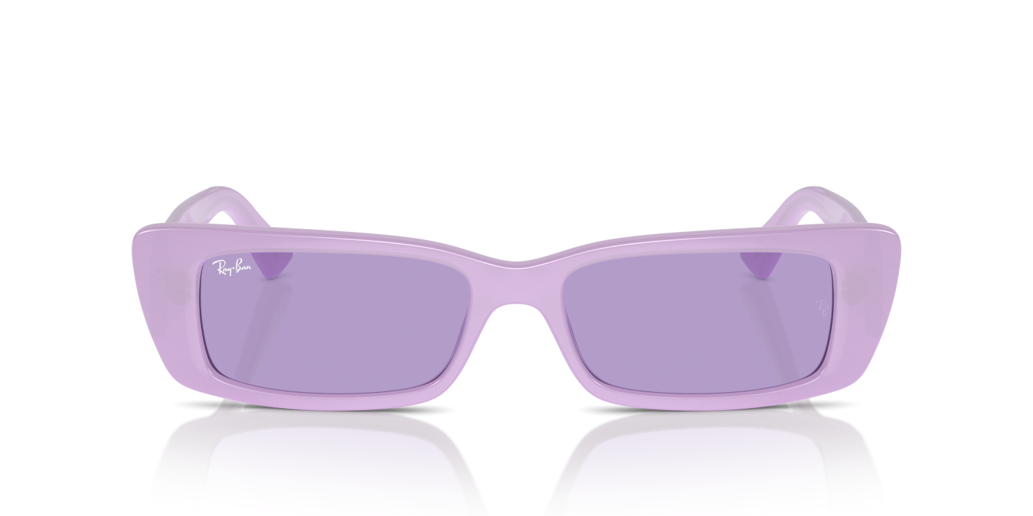 Ray-Ban TERU RB4425 - Lilac / Violet