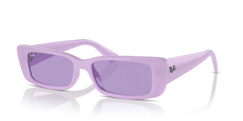 Ray-Ban TERU RB4425 - Lilac / Violet