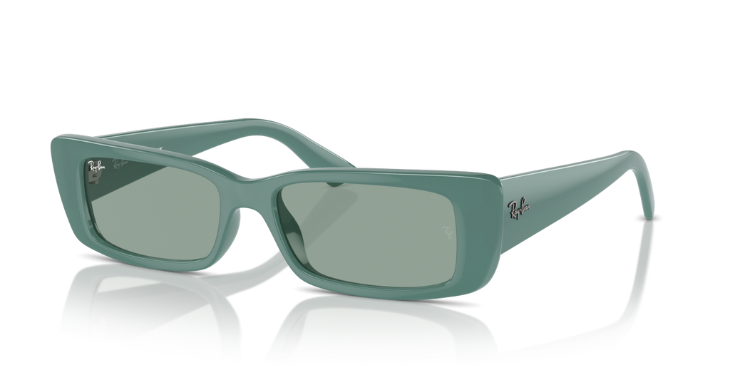 Ray-Ban TERU RB4425 - Algae Green / Green