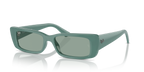 Ray-Ban TERU RB4425 - Algae Green / Green