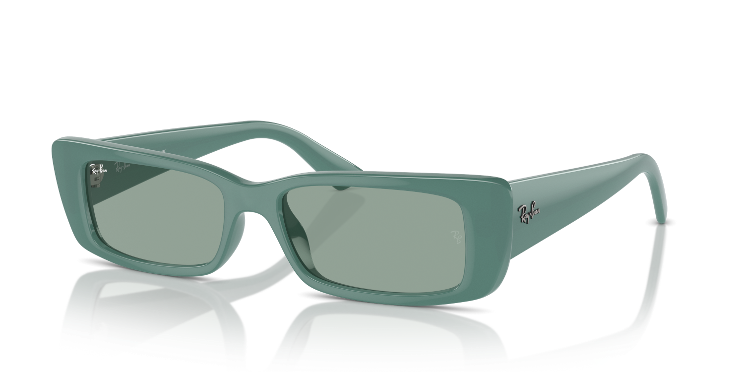 Ray-Ban TERU RB4425 - Algae Green / Green
