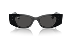 Ray-Ban KAT RB4427 - Black / Black