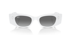 Ray-Ban KAT RB4427 - White / White