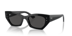 Ray-Ban ZENA RB4430 - Black / Black