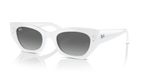 Ray-Ban ZENA RB4430 - White Snow / White