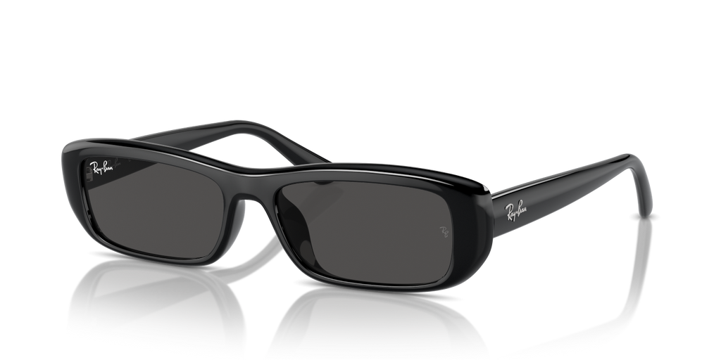 Ray-Ban RB4436D - Black / Black