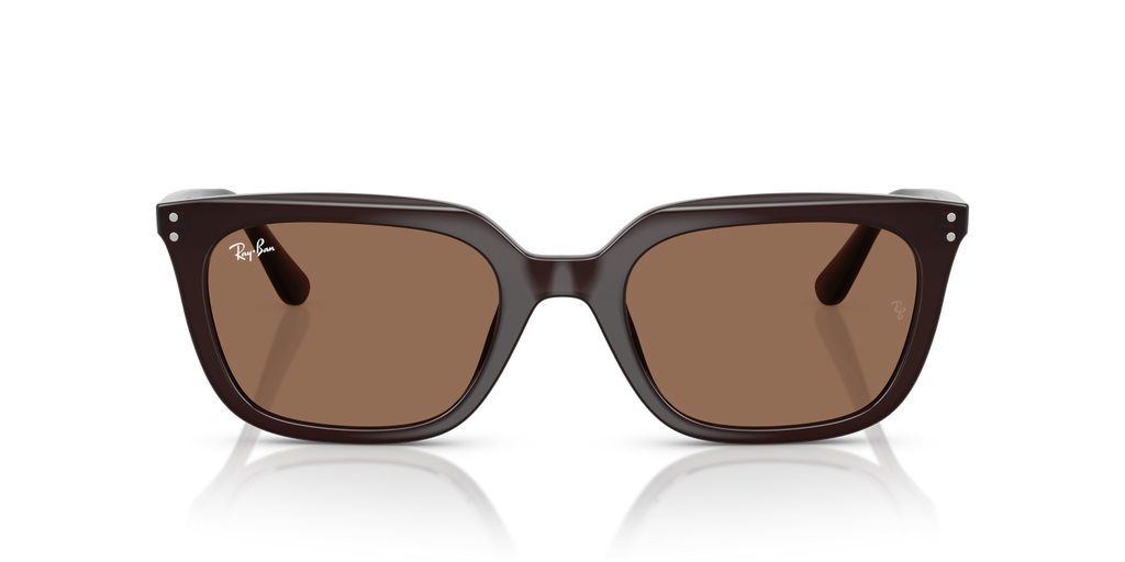 Ray-Ban RB4439D - Opal Brown / Brown
