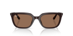 Ray-Ban RB4439D - Opal Brown / Brown