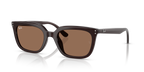 Ray-Ban RB4439D - Opal Brown / Brown