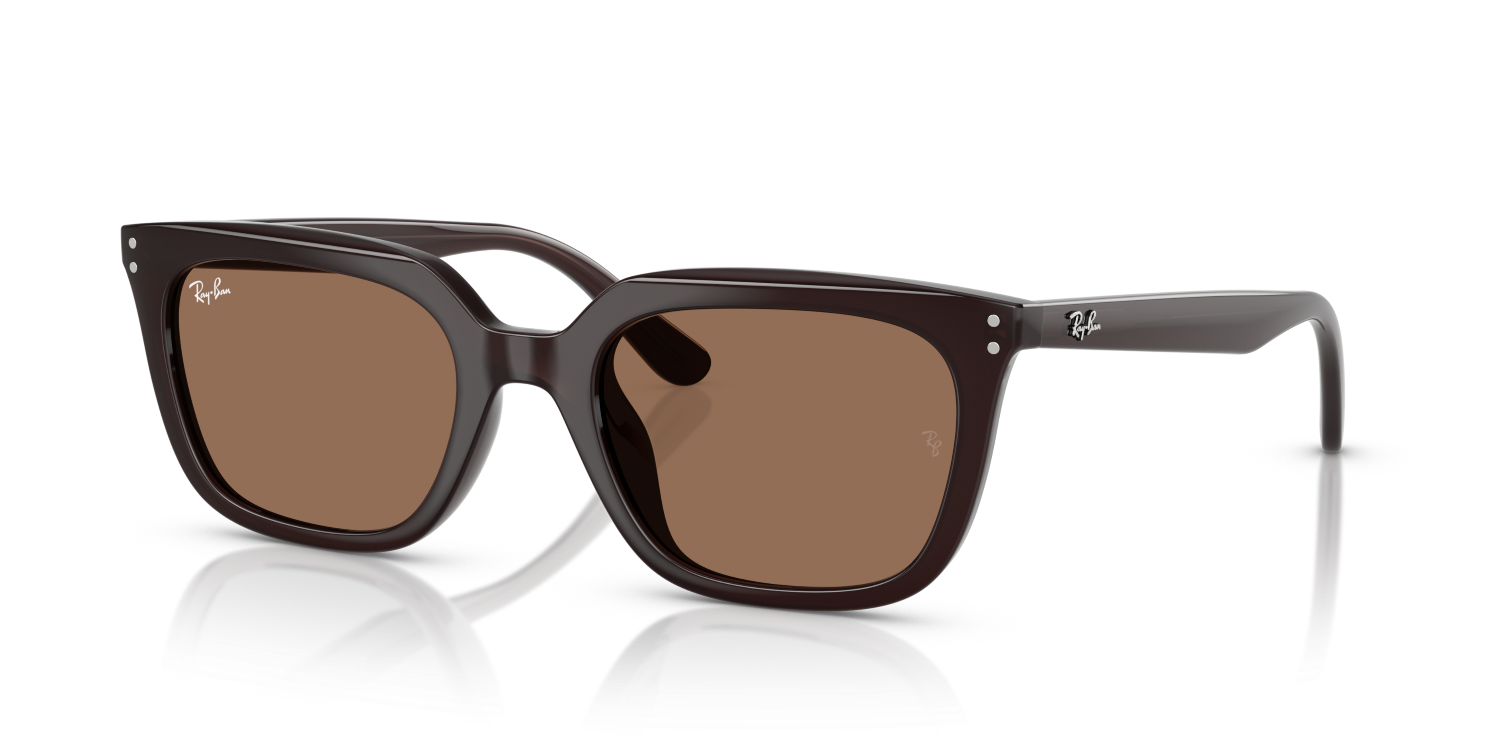 Ray-Ban RB4439D - Opal Brown / Brown