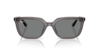 Ray-Ban RB4439D - Transparent Grey / Grey