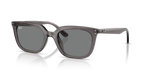 Ray-Ban RB4439D - Transparent Grey / Grey