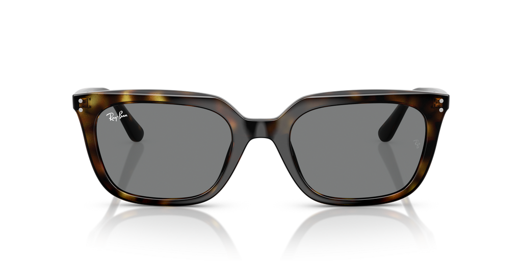 Ray-Ban RB4439D - Havana / Tortoise