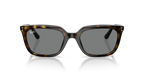Ray-Ban RB4439D - Havana / Tortoise