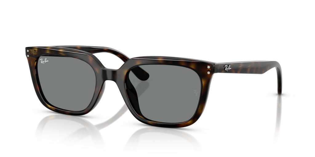 Ray-Ban RB4439D - Havana / Tortoise