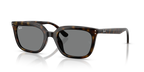 Ray-Ban RB4439D - Havana / Tortoise