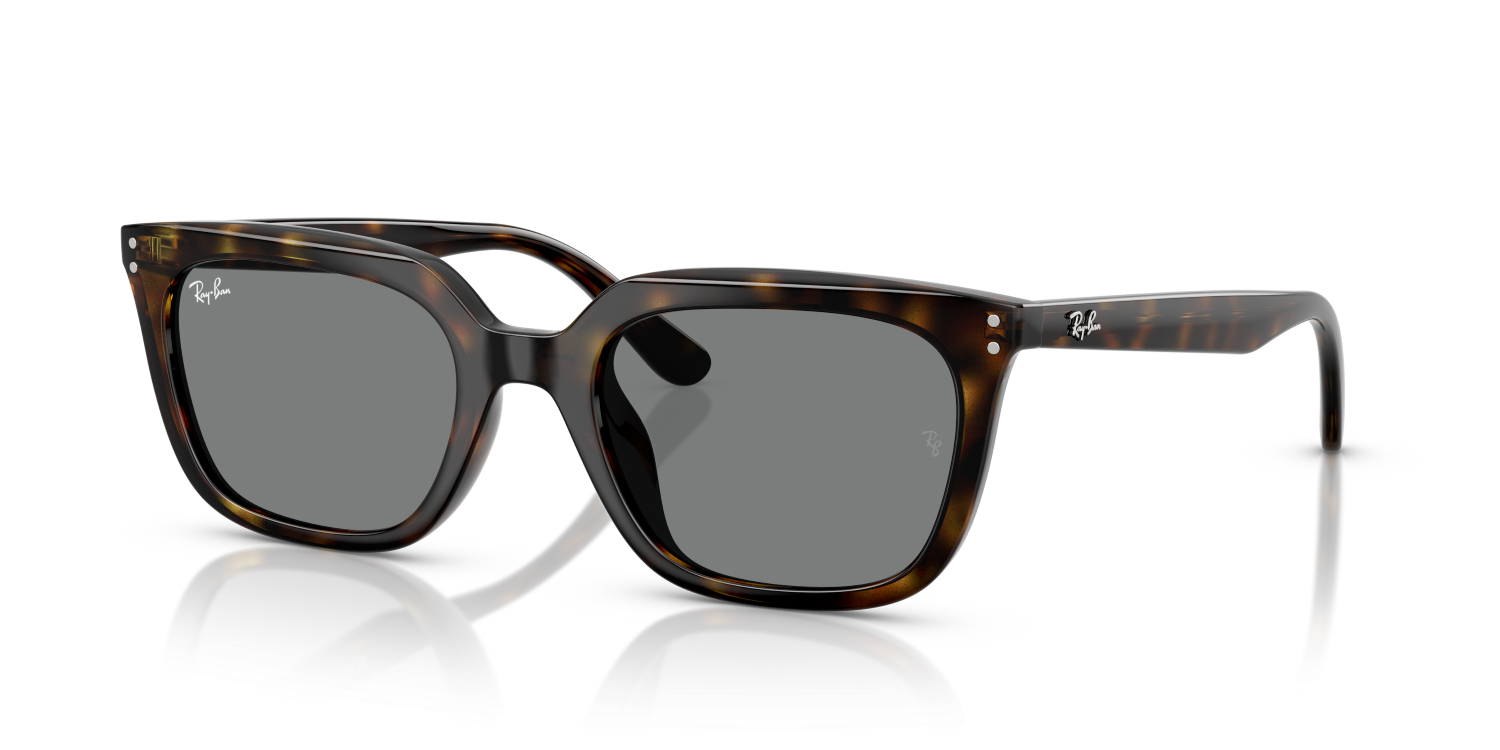 Ray-Ban RB4439D - Havana / Tortoise