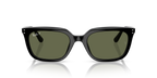 Ray-Ban RB4439D - Black / Black