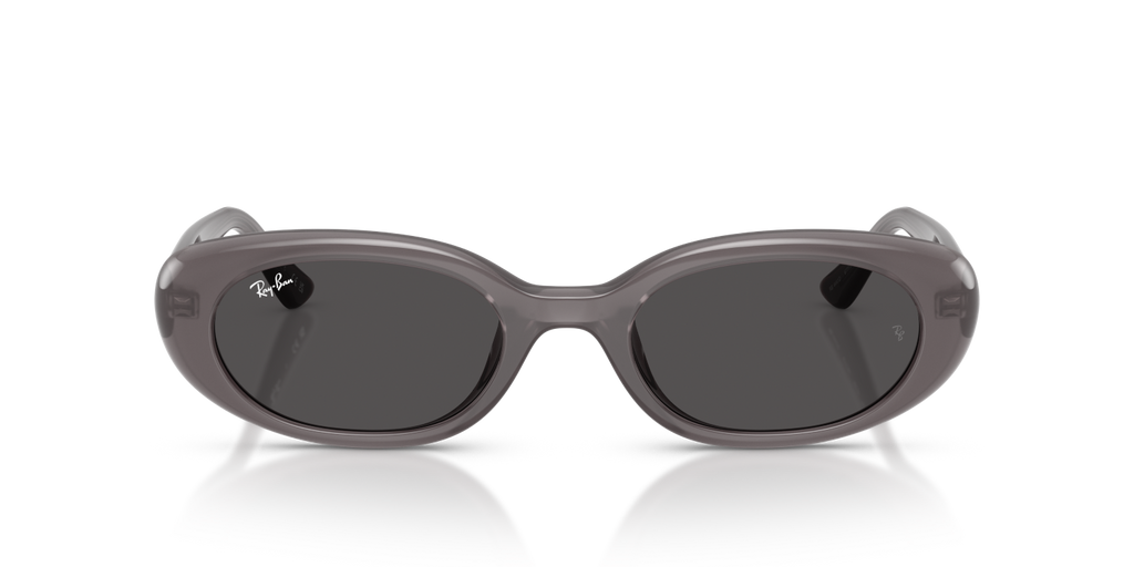 Ray-Ban RB4441D - Transparent Dark Grey / Grey