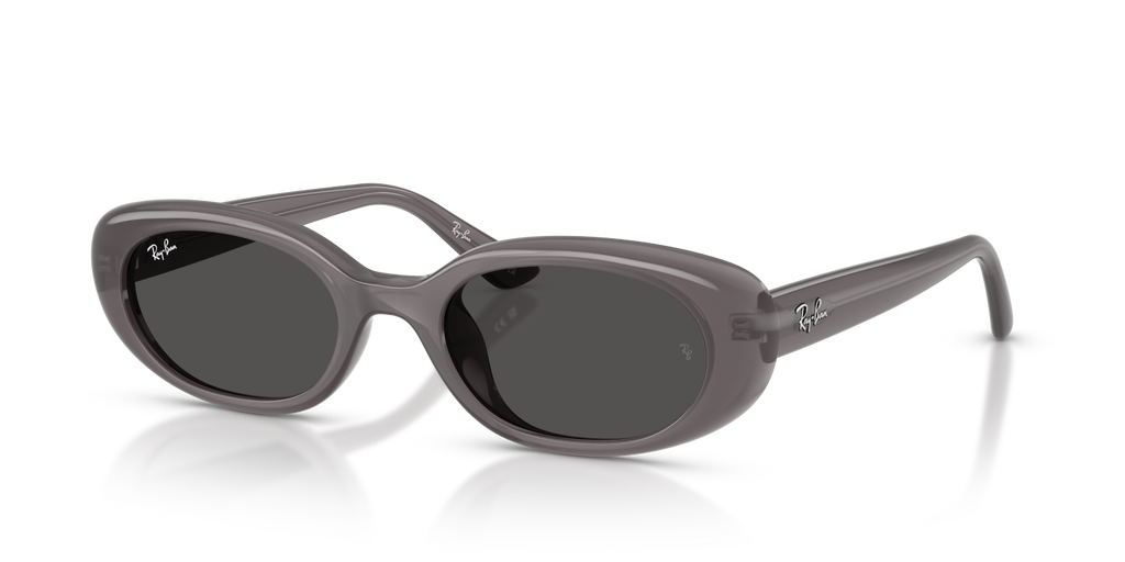 Ray-Ban RB4441D - Transparent Dark Grey / Grey