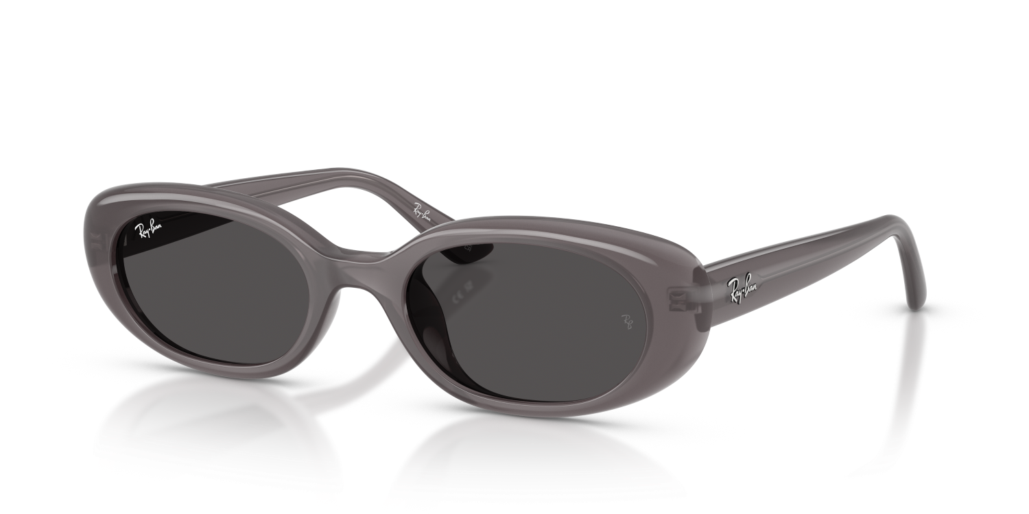 Ray-Ban RB4441D - Transparent Dark Grey / Grey