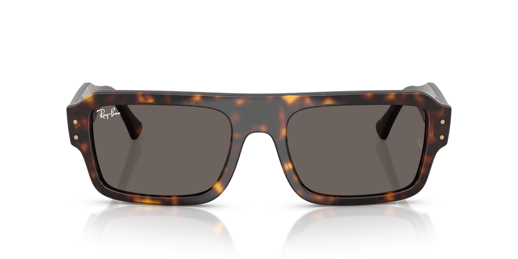 Ray-Ban FLACKO RB4454 - Havana / Tortoise