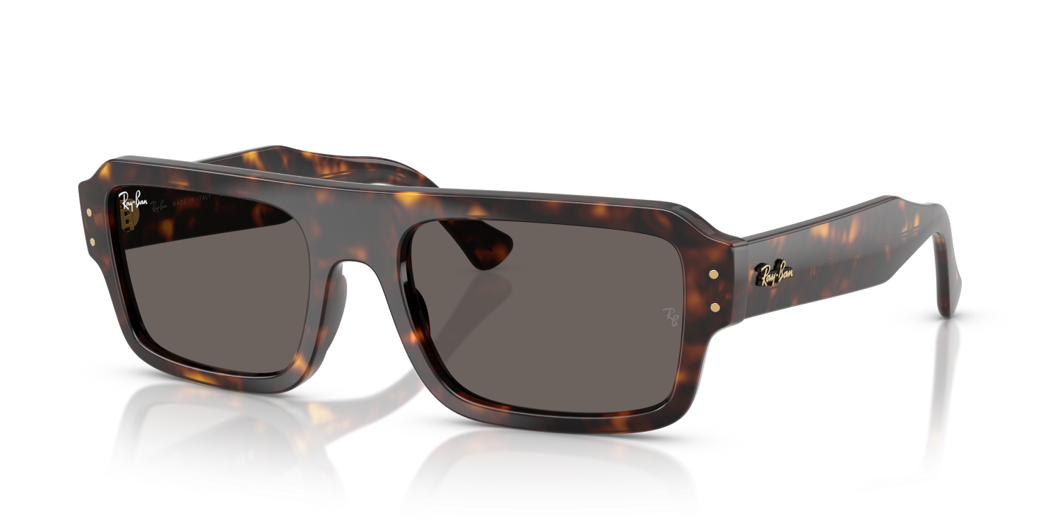 Ray-Ban FLACKO RB4454 - Havana / Tortoise